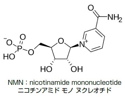 ニコチンアミドモノヌクレオチド