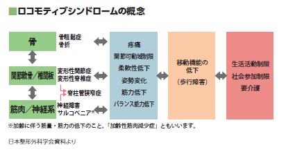 ロコモティブシンドロームを知っていますか? - 栄養書庫 Official Website