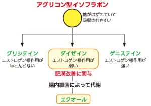 アグリコン型イソフラボン