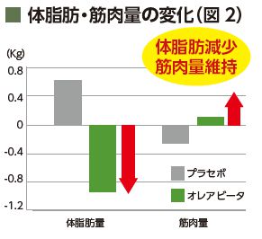 体脂肪・筋肉量の変化グラフ