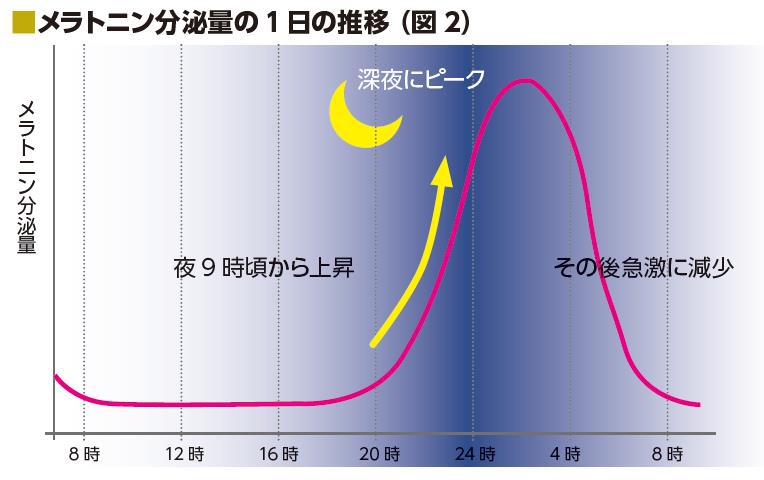 1日メラトニン分泌量推移