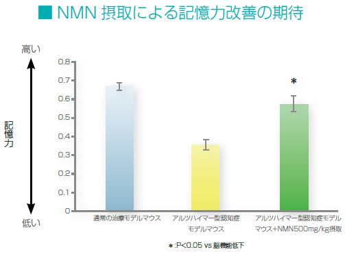 NMN摂取による記憶力改善の期待