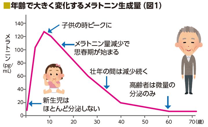 年齢メラトニン生成量推移