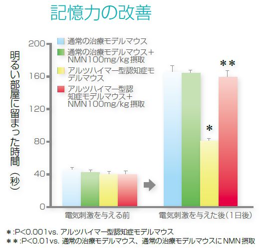 記憶力の改善