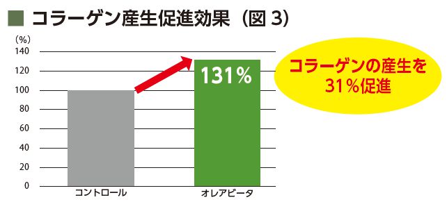 コラーゲン産生促進効果