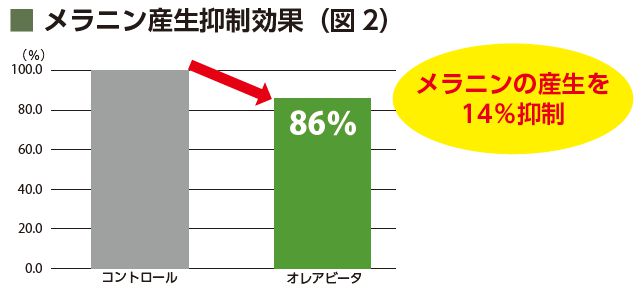 メラニン産生抑制効果