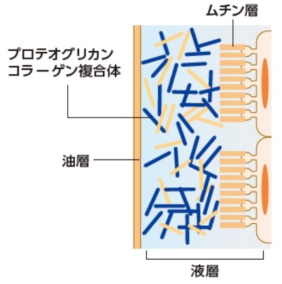 涙拡大