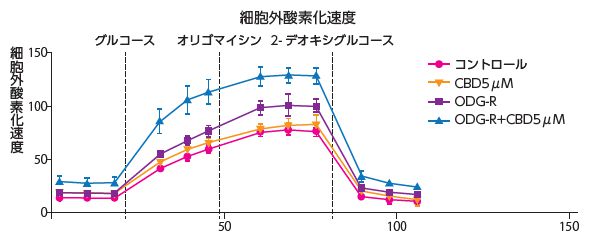 細胞外酸素化速度