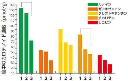 脳組織中のカロテノイド濃度の比較