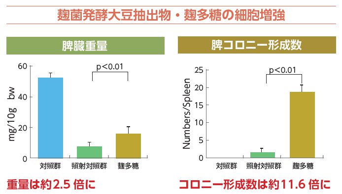 脾臓重量と脾コロニー形成数グラフ