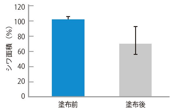 シワ面積比較