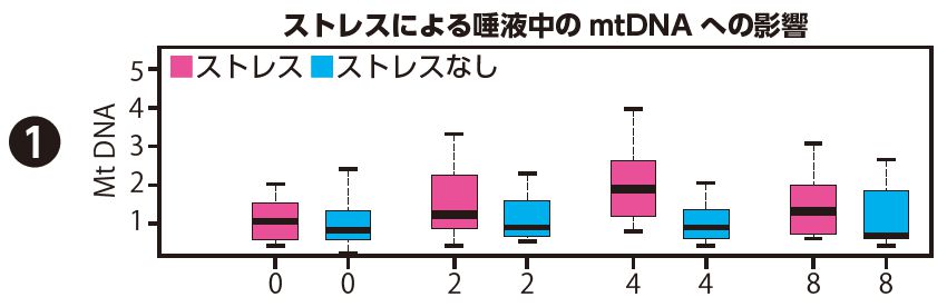 ストレスによる唾液中のmtDNAへの影響