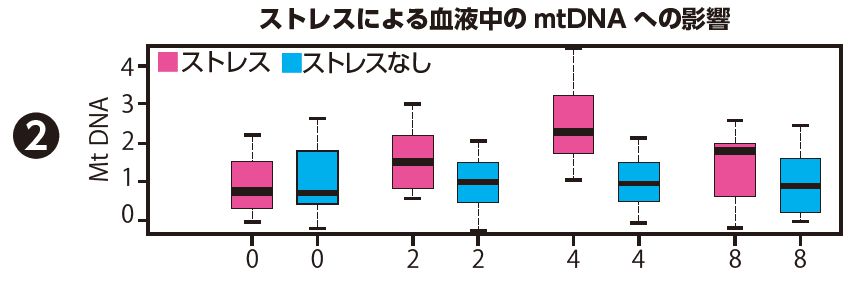 ストレスによる血液中のmtDNAへの影響