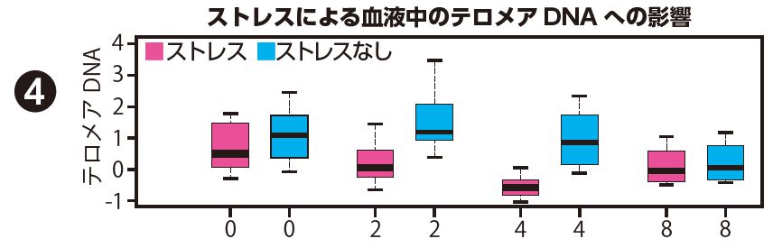 ストレスによる血液中のテロメアDNAへの影響