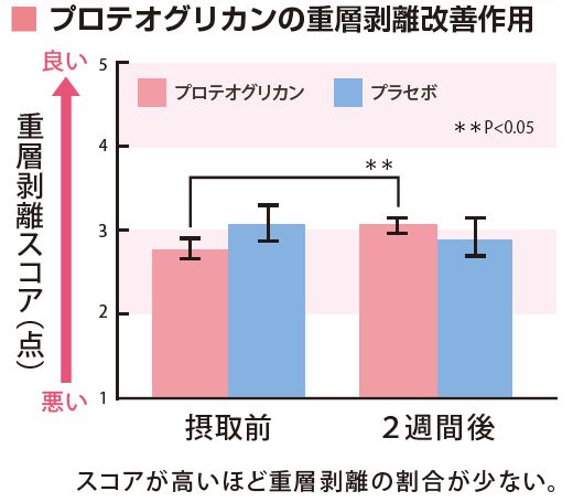 プロテオグリカンの重層剥離改善作用