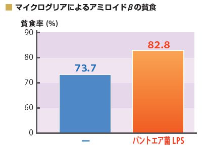 マイクログリアによるアミロイドβの貧食