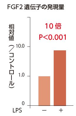 FGF2遺伝子の発現量