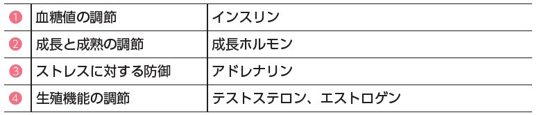 代表的なホルモンとその役割