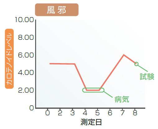 風邪の時のカロテノイドレベル