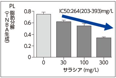 PL脂肪分解