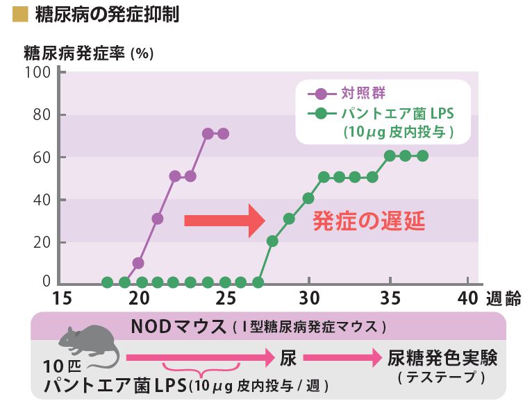 糖尿病の発生抑制