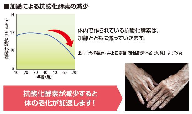 抗酸化酵素の減少