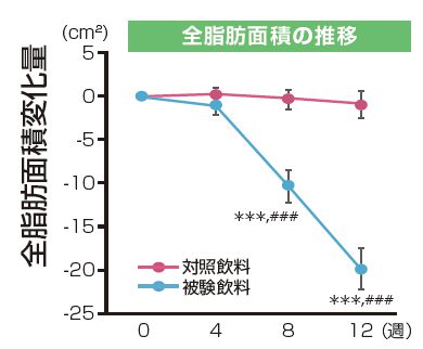 全脂肪面積の推移