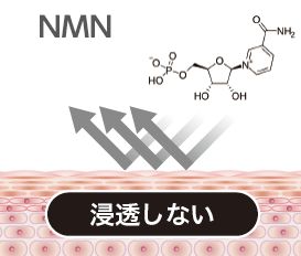 浸透しない