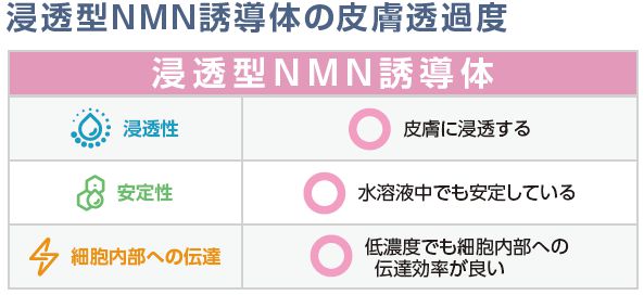 浸透型NMN誘導体の皮膚透過度