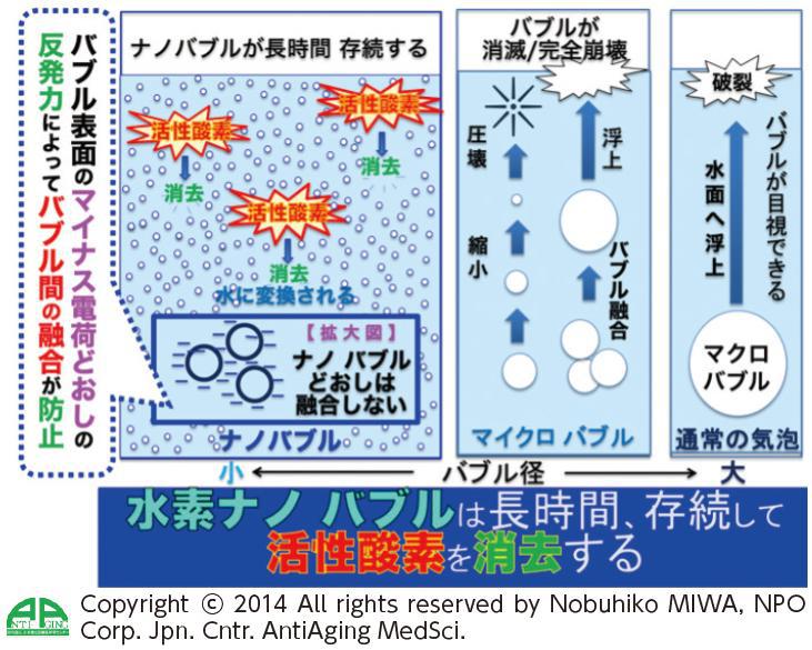 ナノバブルの持続力