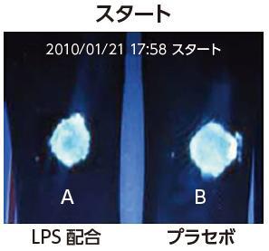 健康肌スタート