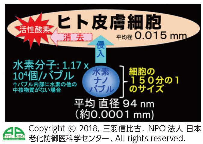 水素サイズ