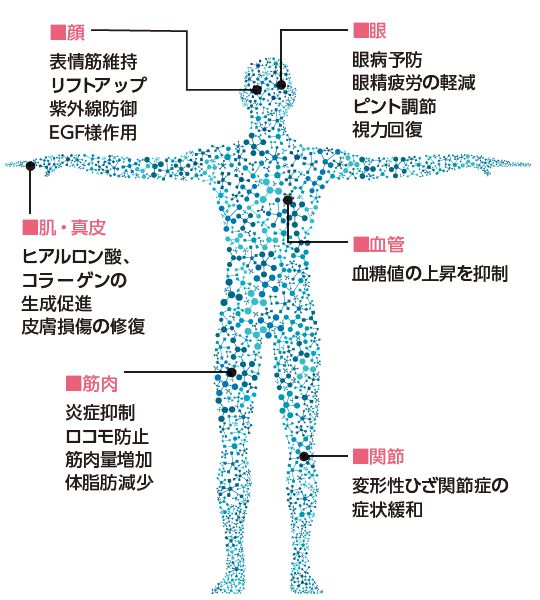 カラダに与える影響