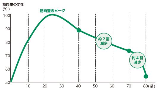 筋肉量の変化