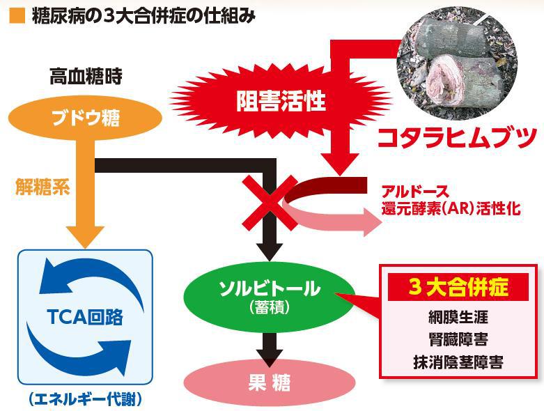 3大合併症の仕組み
