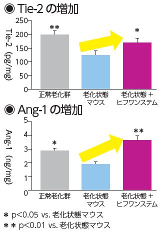 Tie-2とAng-1の増加