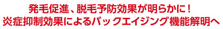 バックエイジング