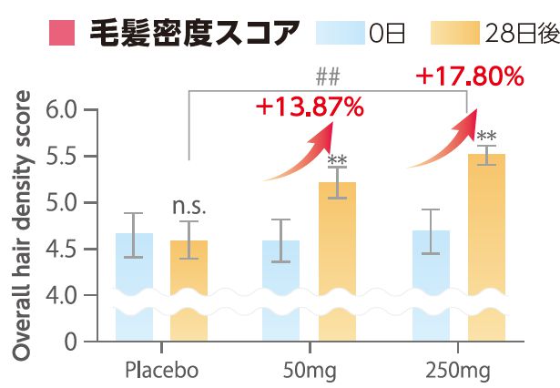 毛髪密度スコア