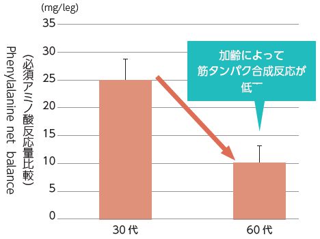 30 代と60 代の筋タンパク質合成反応比較