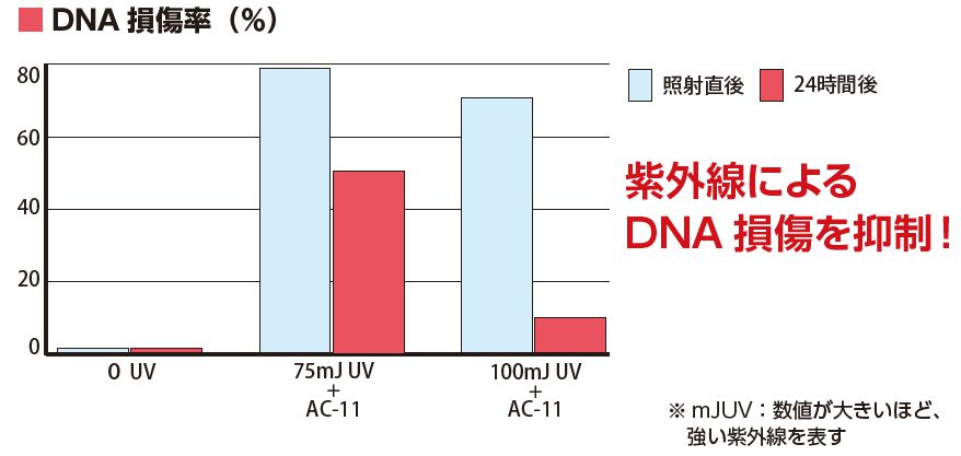 DNA損傷率