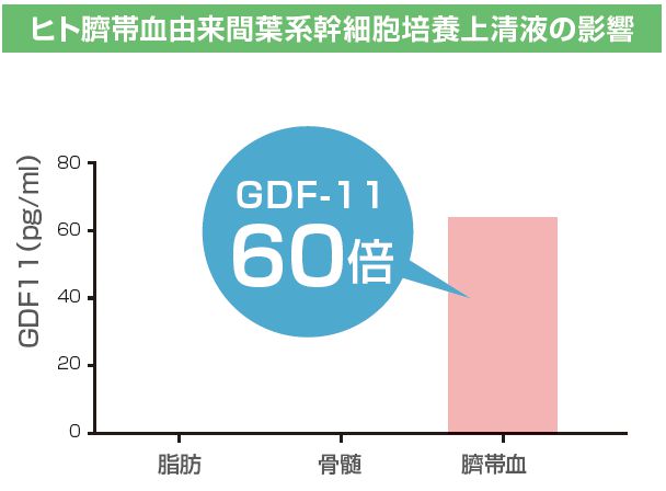 GDF-11グラフ