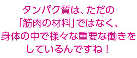 タンパク質の説明