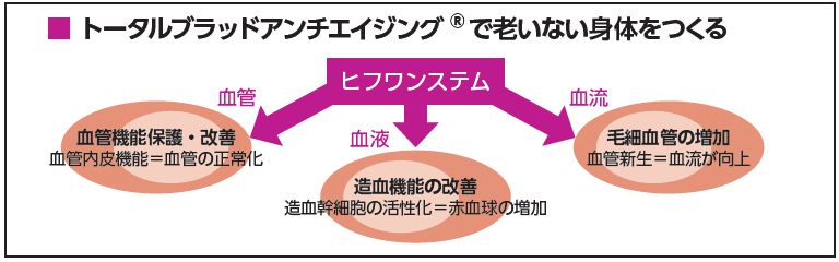 トータルブラッドアンチエイジング