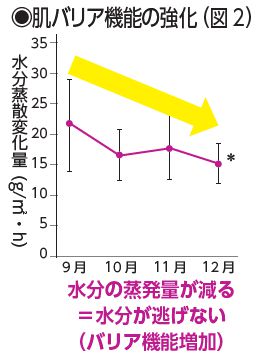 肌バリア機能の強化