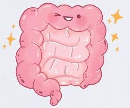 腸イラスト