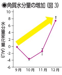 角質水分量の増加