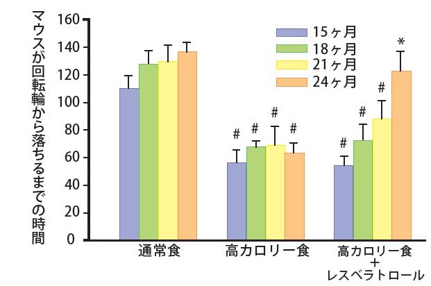 マウスのレスベラトロール摂取による運動機能実験