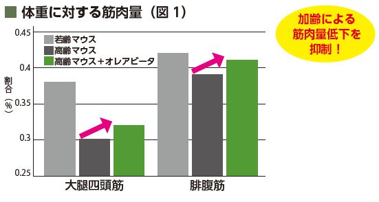 体重に対する筋肉量
