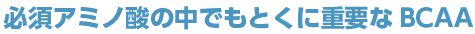 必須アミノ酸BCAA