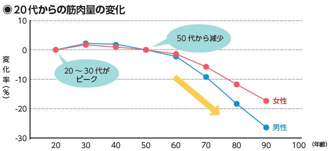 筋肉量の変化